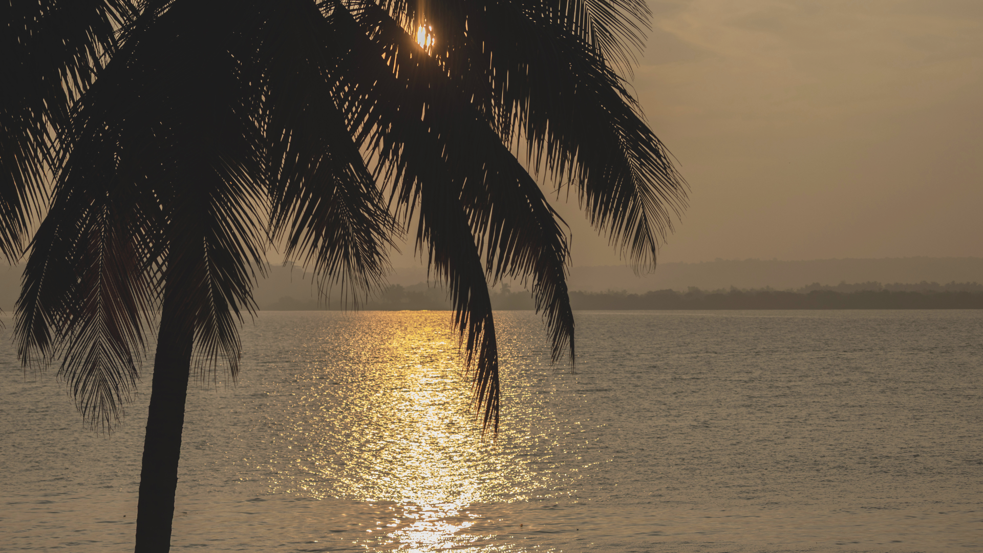 the-postcard-on-mandovi-river-north-goa